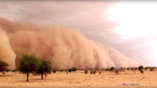 Protecting People from Sand and Dust Storms