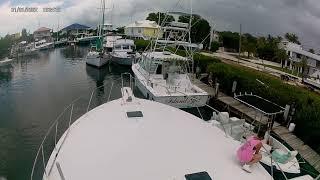 Danica Anne   Docking