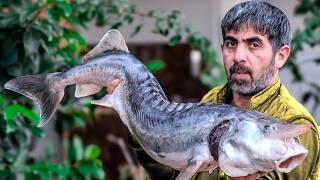 Special Recipe for Frying Huge 12kg Beluga Fish: Cooking Fish Soup