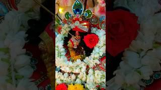 Janmashtami celebration / #shorts /vaishali mukesh