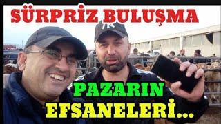 PAZARIN EFSANELERİ ÇUBUK CANLI HAYVAN PAZARINDA KARŞILAŞTI | 19/09/2024 Küçükbaş ve Büyükbaş Fiyatı