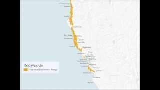 Redwoods Campaign Map Overview
