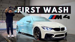 Dirty BMW F82 M4 First Foam Wash - Exterior Auto Detailing (Satisfying ASMR)