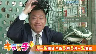 【番宣】NEWS×情報 キャッチ＋（2025年5月～）