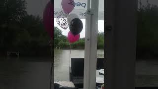 Всему учить нужно | прикол