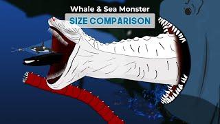 Whale, Fish and Sea Monster Size Comparison