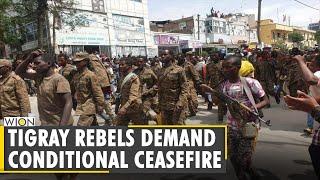 Ethiopia: Tigray rebels accept 'ceasefire in principle' but set out conditions | Latest World News