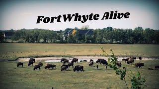 A visit to FortWhyte Alive! -Winnipeg, MB - Harmony Road