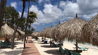 Druif  Beach - Aruba one happy Island