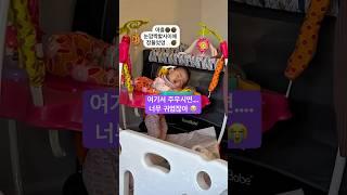 점퍼루에서 조용히 잠든 우리 순둥이
