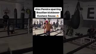 ALEX PEREIRA sparring Brazilian kickboxer GUSTAVO SOUSA