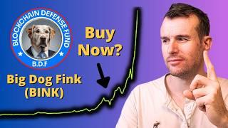 Why Big Dog Fink Is Up...  BINK Crypto Token Analysis