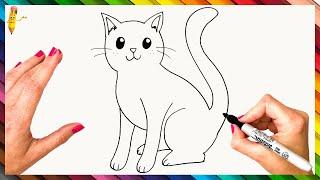 How To Draw A Cat Step By Step  Cat Drawing Easy