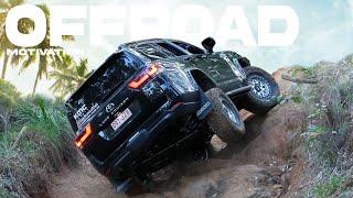 300 SERIES Offroad & BUILD compilation (2024)