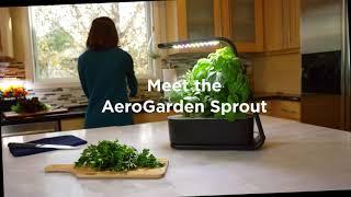 AeroGarden Sprout Product Video