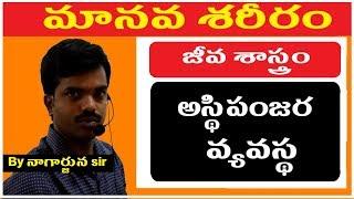 Biology Classes in telugu || General Science Classes in Telugu ||  Human Body ,Skeleton System