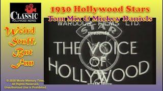 Weird But Fun | Voice of Hollywood