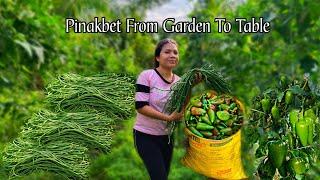 It's A Full Harvest! A Year Of Abundance | Harvesting eggplant, sitaw & bell pepper to cook pinakbet