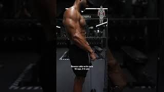 FOURARMS WORKOUT 