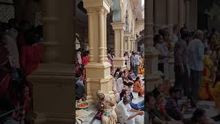 राधे राधे ️ #radheradhe #vrindavan #mathura #krishna #vlog #preammandir #trendingmusic #love #faith