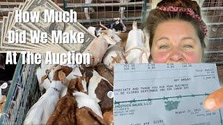 How Much Do You Make At A Goat Auction? START to FINISH Auction With Bidding And Price Discussion