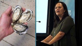 Our past, present and future in Pacific Oyster farming