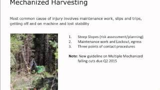 Safety in the forestry sector