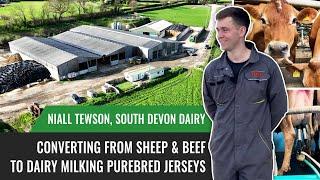 Converting from Sheep & Beef to Dairy Milking Purebred Jerseys with Niall Tewson, South Devon Dairy