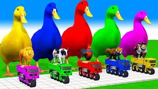 5 Giant Duck Cartoon, Cow, Mammoth, Elephant, Lion, Paint Wild Animals Crossing Fountain Animation