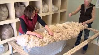 How to Skirt an Alpaca Fleece