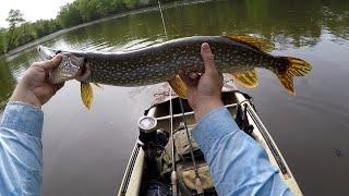 Kayak Fishing - River fishing for big pike and bass with swim jigs. Trailer change saves the day!