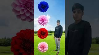 Flowers to Gol Gol Anda   magic video #shorts #viral #trending #funny