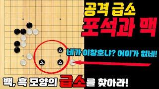 [바둑사관] 흑과 백의 모양의 급소, 맥은 어디인가?