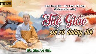 Tuệ giác soi rõ đường đời - Kinh Trung Bộ 129 - Kinh Hiền ngu - SC. Giác Lệ Hiếu