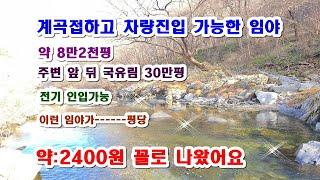 맑은 1급수 계곡물이 철철 흐르는 임야 약 8200평  평당 2400원 꼴  양옆으로 국유림 30만평 있고요 하단부로 차량가지 진입가능합니다--- 전기도 인입가능  진짜 멋짐