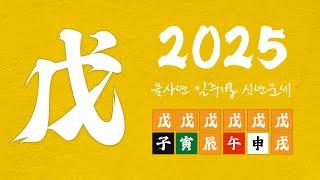 [2025 을사년 신년운세] 무토일간이 성공적 결과를 위해 가야할 방향은~?