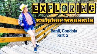 Exploring Sulphur Mountain Boardwalk || Tour to the store || Banff, Gondola(Part 2 ) #LifeinCanada