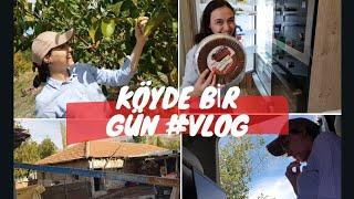 KÖYDE BİR GÜN GEÇİRMEK VLOG | Ceviz Bahçemizde İlk Hasat | Aracımızın Tekeri Patladı ! #ceviz #vlog