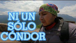 CHIVAY -MIRADOR CRUZ DEL CONDOR (CAÑON DEL COLCA) con CAÍDA INCLUIDA | PERUpe