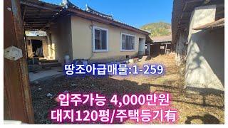 땅조아:1-259]창녕읍 인근 대지:120평 건축물대장有 매매금액4.000만원 창녕촌집매매