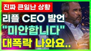 리플 CEO 공개적 사과.. 진짜 큰일났다 #리플 #리플코인 #리플합의 #리플승소 #리플호재 #리플SEC #리플소송결과일 #리플소송