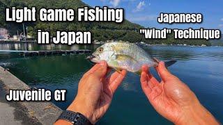 Japanese Wind Technique - Light Game Fishing for Juvenile GT in Japan