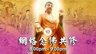 【同步】净土宗网络念佛【第1696天】+ 开示视频《念佛奥妙》 08-11-2024 Online Recitation Session（晚上8pm-9pm (GMT+8))【打开CC字幕】