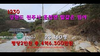 [번호1230]강원도 원주시 흥업면 밭같은 임야 급매물