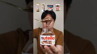 EATING VARIOUS KIND OF NUTELLA #asmr #mukbang #shorts