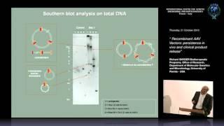 R. Snyder - Recombinant AAV Vectors: persistence in vivo and clinical product release