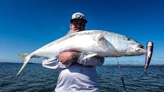 Monster Fish | Casting Into a Massive Feeding Frenzy