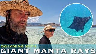 Swimming with Manta Rays at Komodo Island & Hiking Atop of Sebayur Island for Breathtaking Views!