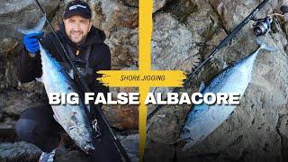 Shore jigging - BIG False Albacore on rough sea