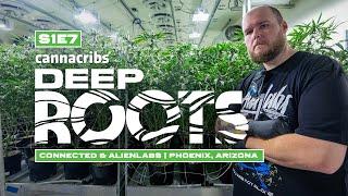 Connected Cannabis Co & Alien Labs: Arizona Prop 207 Expansion Cannabis Farm (Deep Roots)